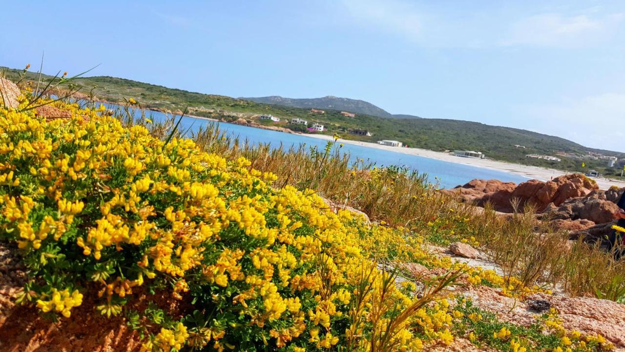 Casa Vacanza Costa Rossa Vista Mare Trinità d'Agultu Eksteriør billede