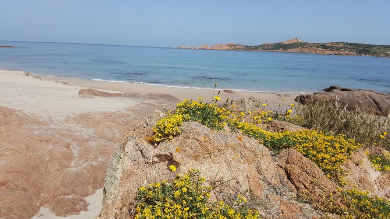 Casa Vacanza Costa Rossa Vista Mare Trinità d'Agultu Eksteriør billede